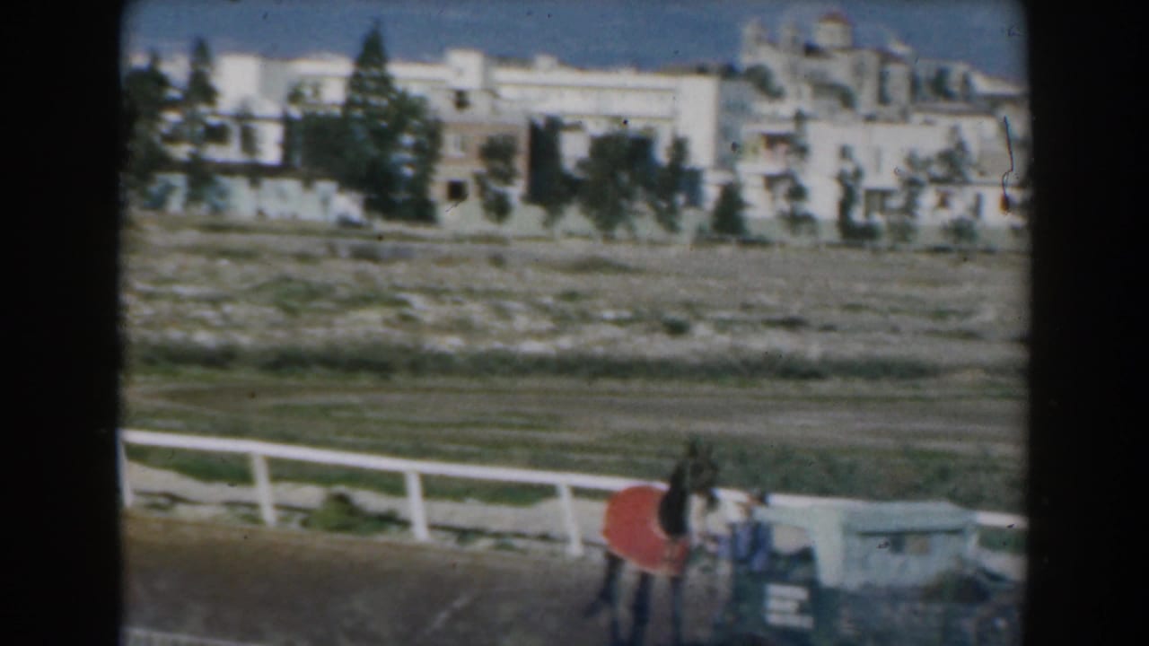 Horse and rider near a white rail with pale buildings and trees beyond the track.