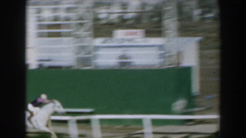 Close home-movie view of a jockey on a white horse racing past a green trackside wall in Greece, 1962.