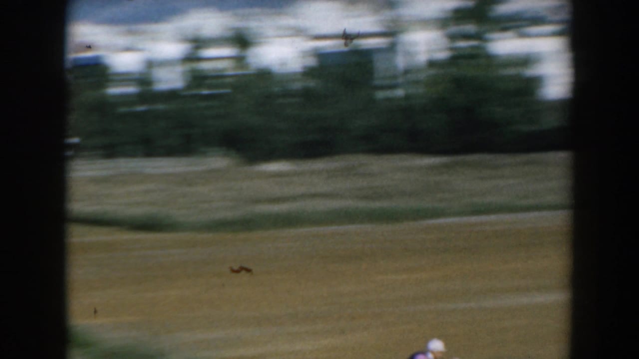 Blurred racetrack view through dark vertical bars, with open ground and distant trees.