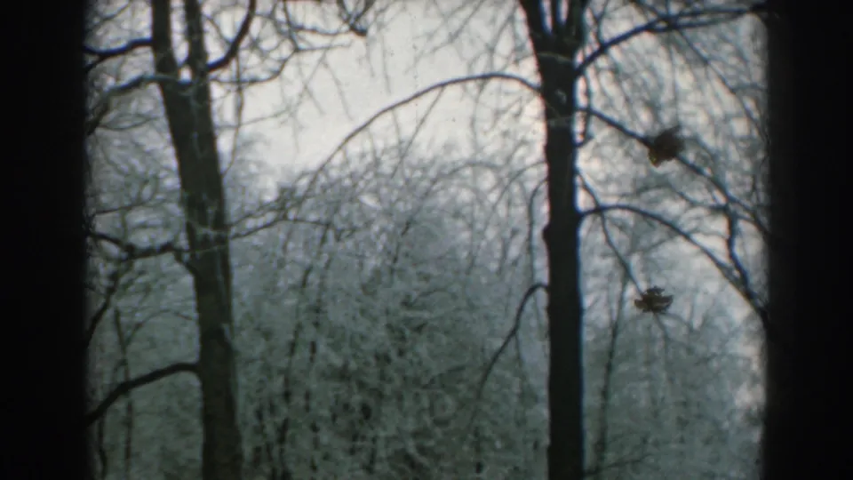 The final frame shows tall bare trees and heavy snow on branches in the Greece winter park, framed by dark 8mm borders.