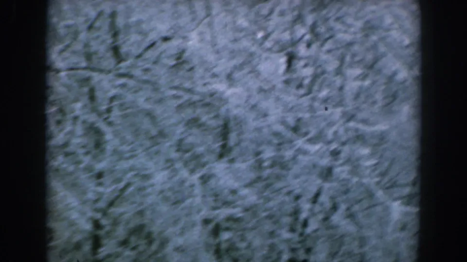 1962 Greek home-movie frame with soft blue-toned snow on trees, seen through a dark interior window frame.