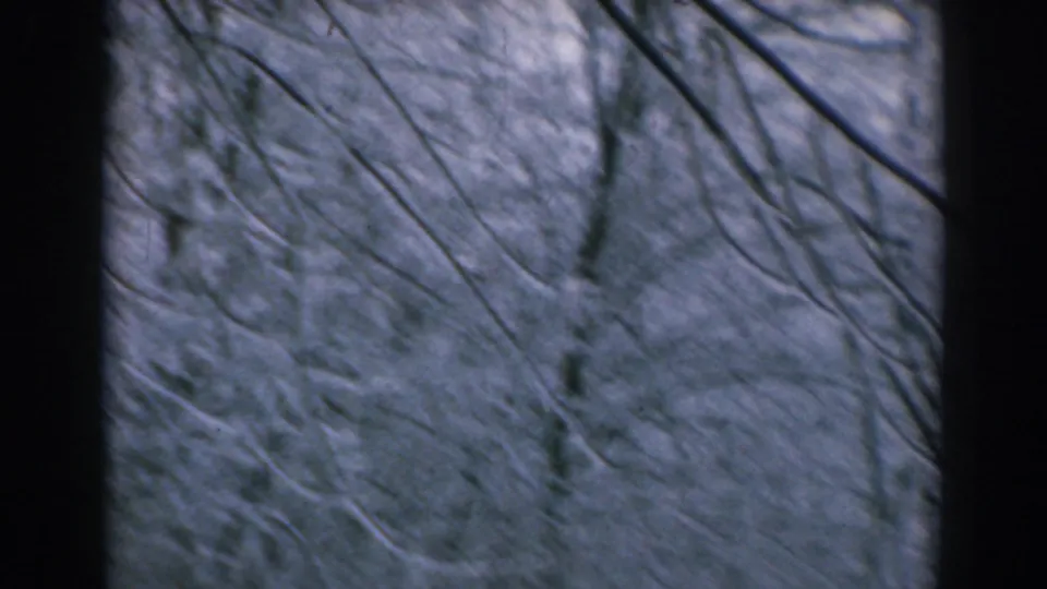 1962 8mm home-movie frame from Greece showing bare winter branches and snow-coated woods between dark vertical trunks.