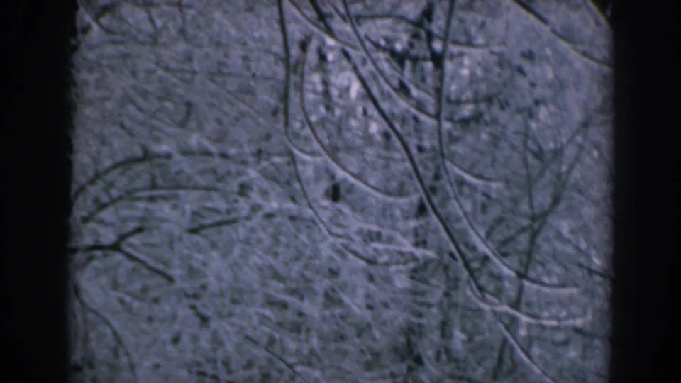 1962 Greek winter woodland frame with a dark central tree trunk and frost-laden bare branches against a pale sky.