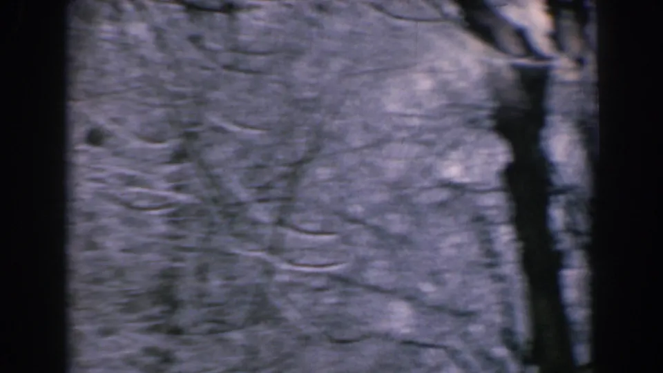 1962 8mm Greece frame showing a blurred winter forest view with dark trunks, bare branches, and snow on the ground or trees.