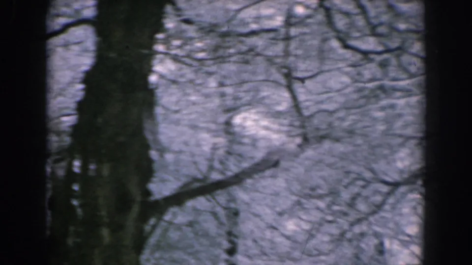 1962 Greek home-movie frame with a dark foreground trunk, branching limbs, and snow-covered woodland beyond.
