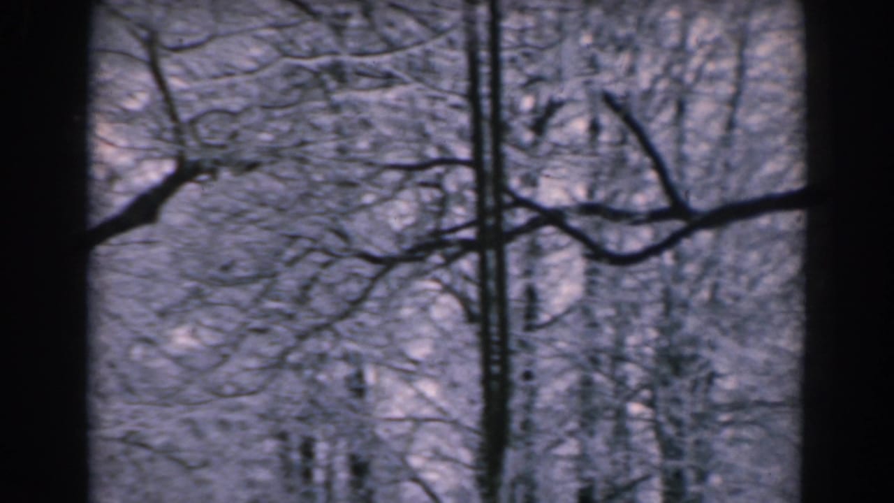 1962 8mm home-movie frame from Greece showing snow-covered bare branches, dark tree trunks, and pale winter light.