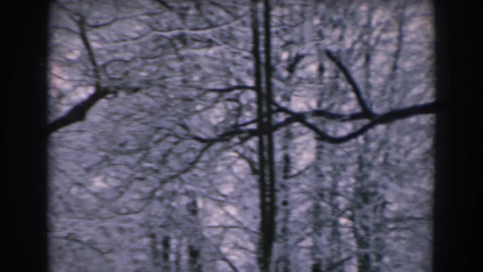 1962 8mm home-movie frame from Greece showing snow-covered bare branches, dark tree trunks, and pale winter light.