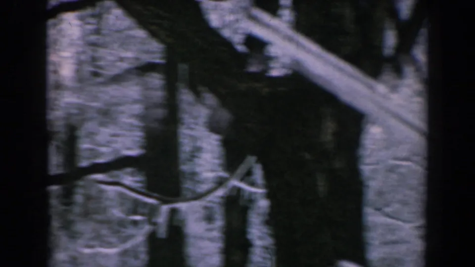 1962 Greece winter frame with snow-dusted branches, dark trunks, and a partial sloped roofline at the right.