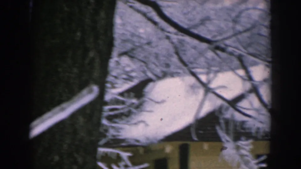 1962 8mm frame from Greece showing a large tree trunk, snow-laden branches, and a bright snow-covered roof or ground plane.