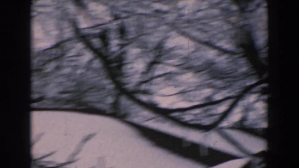 Late frame of the 1962 Greece winter pan, with bare branches crossing over a pale snow-covered background.