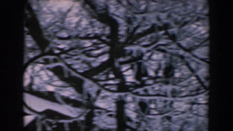 1962 Greece 8mm frame showing dark bare branches over snow-covered terrain in a sheltered winter view.