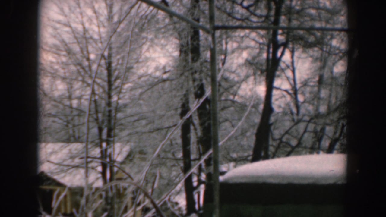 Snow-covered roof and bare trees visible through a window-like dark frame.