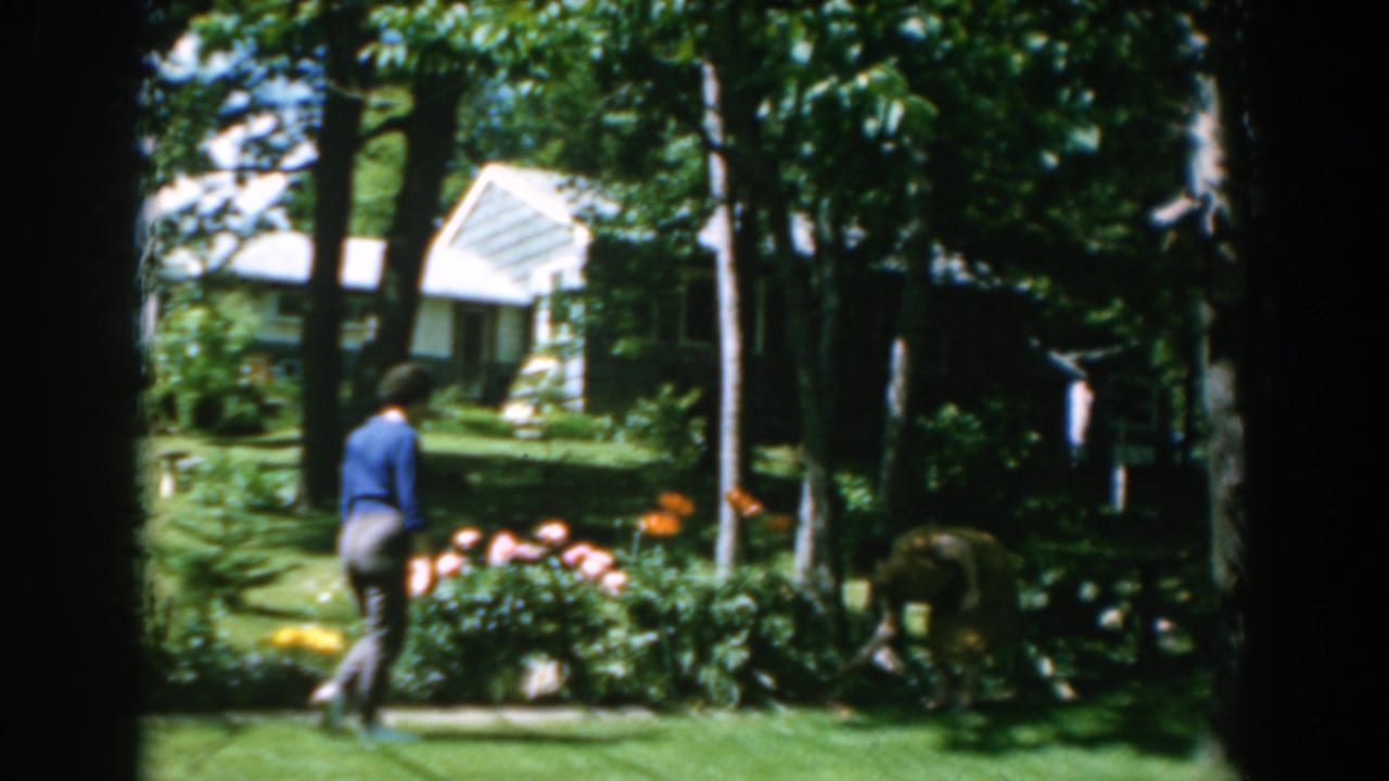 In 1962 Greece, a woman in a blue shirt approaches a garden bed as a dog forages near shrubs beside a small house.