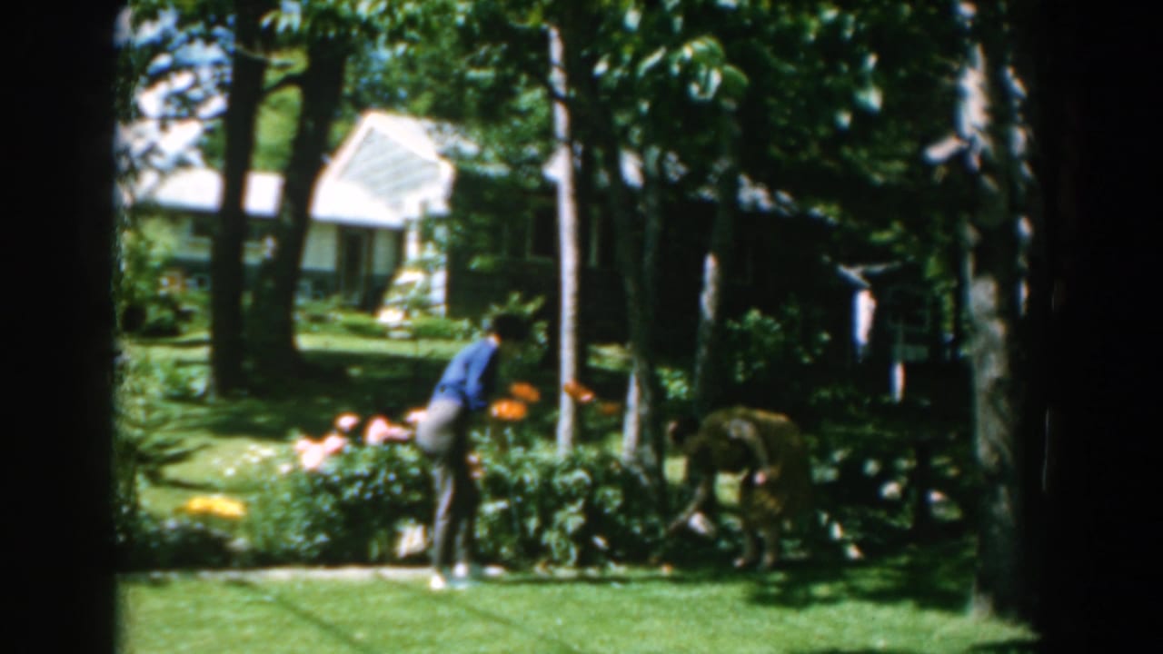 Woman bends toward bright flowers as a dog remains near the garden in a shaded yard.