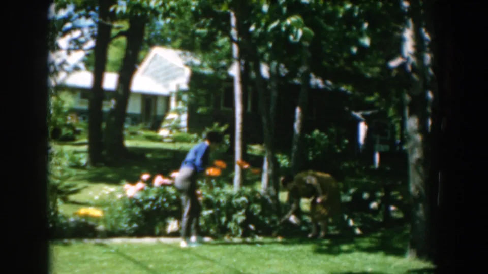In the 1962 Greece yard scene, the woman leans over the flower bed while the dog searches near the shrubs under trees.