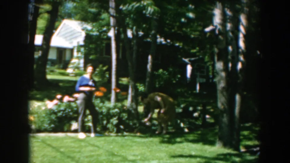 In 1962 Greece, the woman pauses by the garden with her face partly visible as the dog continues foraging near the plants.
