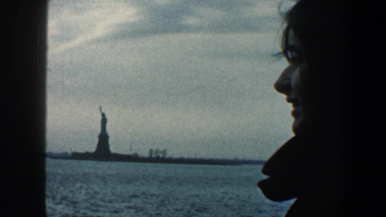 Profile silhouette beside a window with the Statue of Liberty in the distance over water.