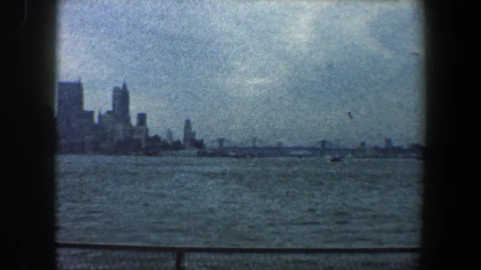 Hazy 1960 New York City skyline across the water, with birds crossing the sky and a railing in the foreground.