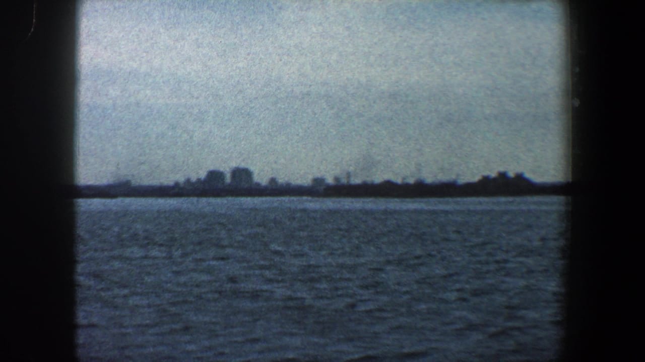 Distant skyline and industrial shoreline across rippled water under a pale sky.