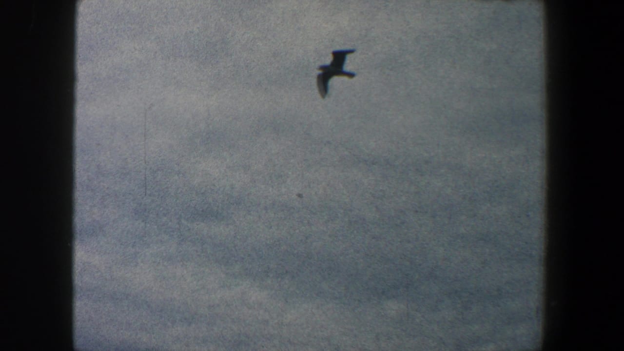 Dark bird silhouette flying across a cloudy sky within a film frame.