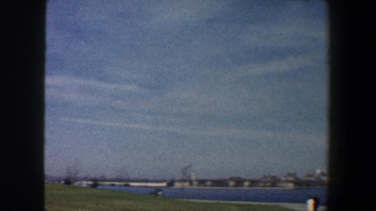 Waterfront grass and open water with distant buildings across the shoreline.