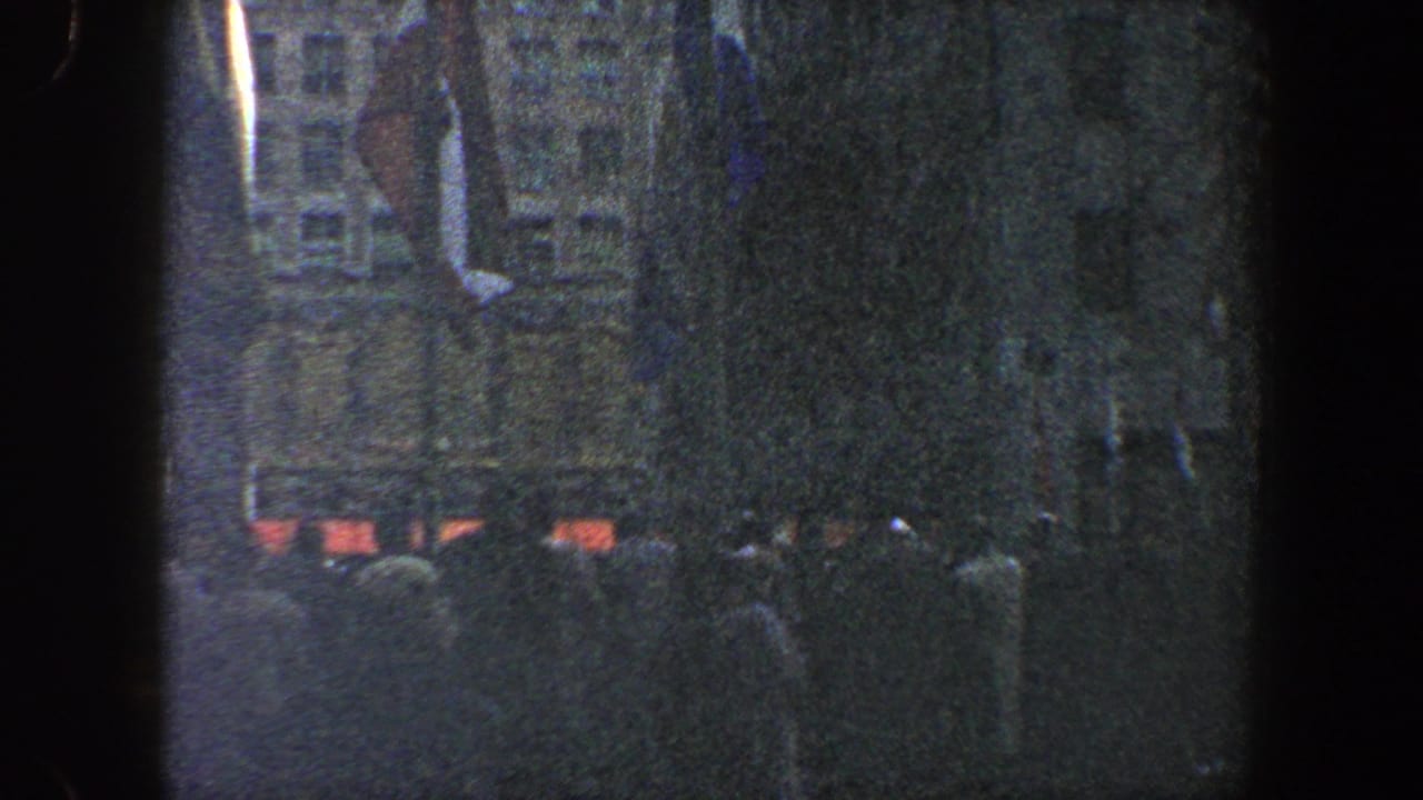 Crowd clustered at night near trees and building facades, with flags hanging above.