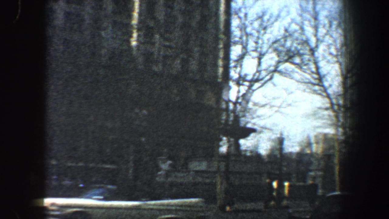 Dark building edge, bare trees, street traffic, and a tan structure beyond the road.