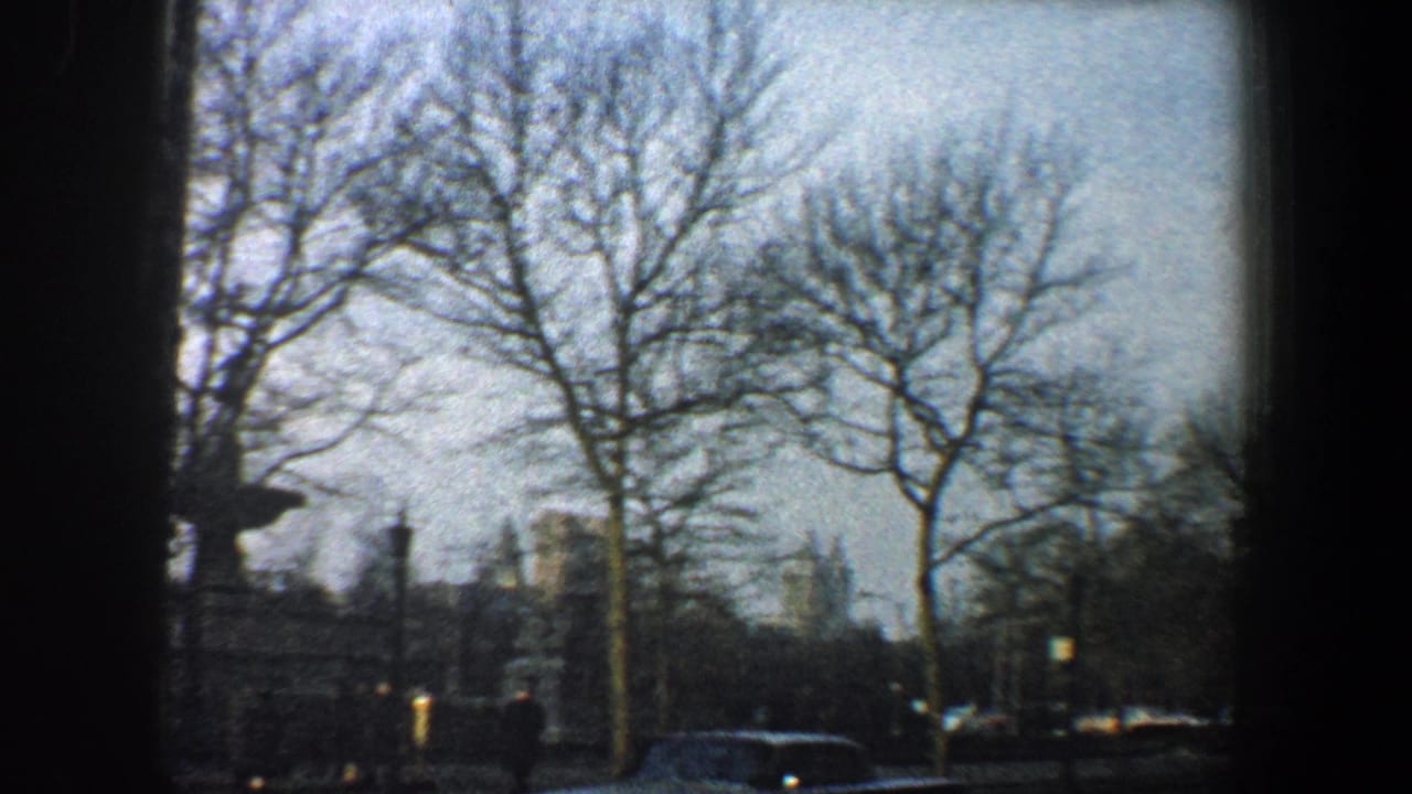 Bare trees, roadway, parked cars, and city buildings seen through dark vertical framing.