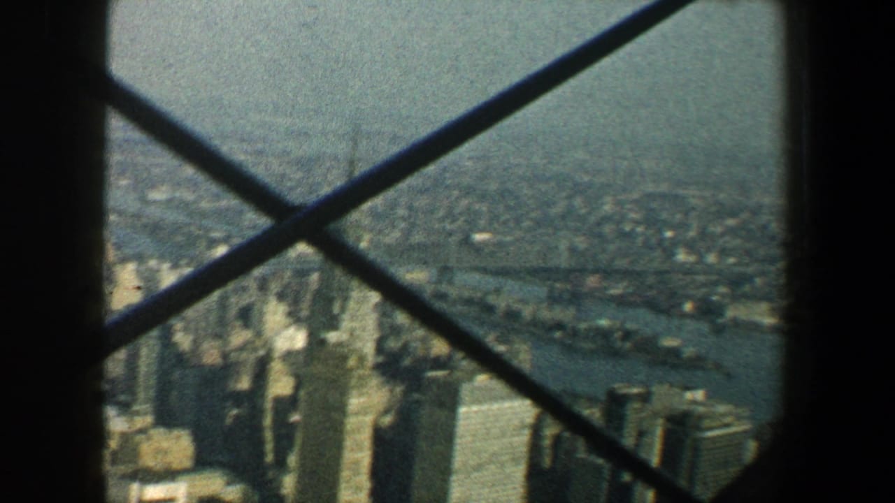 High view across Manhattan with crossbars and distant water visible.