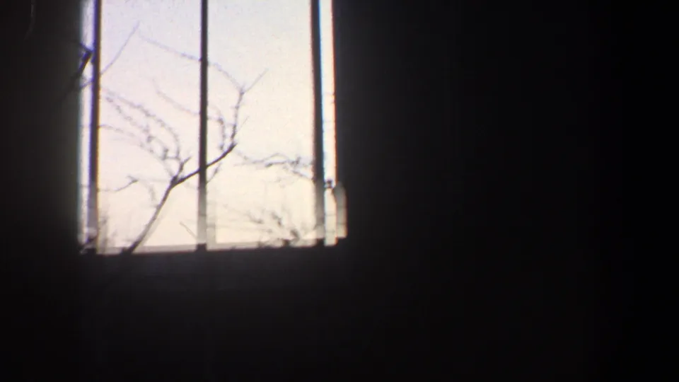 Grainy 1960 New York City 8mm frame showing a bright sky opening, dark building edges, thin poles, and faint branches.
