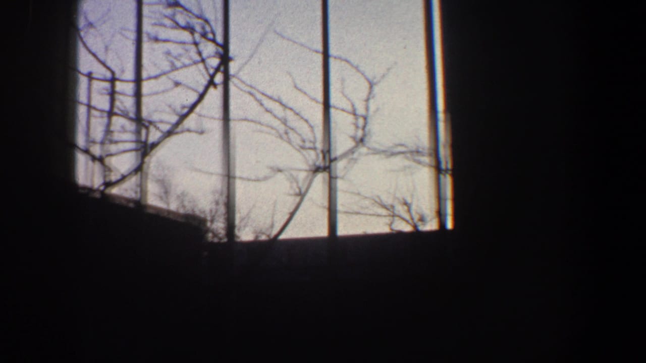 1960 New York City home-movie frame looking through dark interior window divisions toward flagpoles, bare branches, and a low structure.