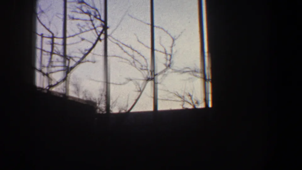 1960 New York City home-movie frame looking through dark interior window divisions toward flagpoles, bare branches, and a low structure.