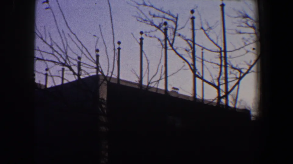 The frame holds on a window-side view of flagpoles, leafless branches, and a dark roofline in New York City, dated by metadata to 1960.