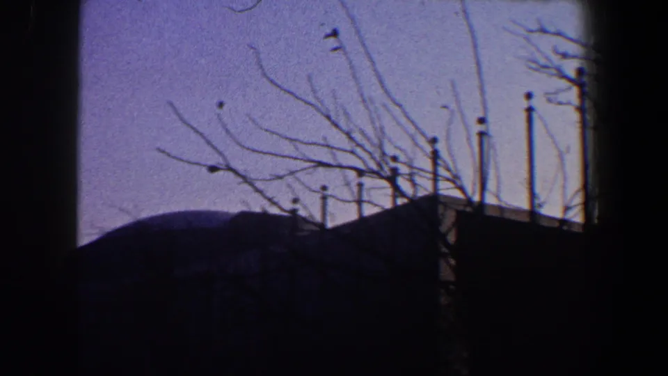 Bare tree limbs and flagpoles are silhouetted against blue sky, with a dark curved structure low in the 1960 New York City frame.