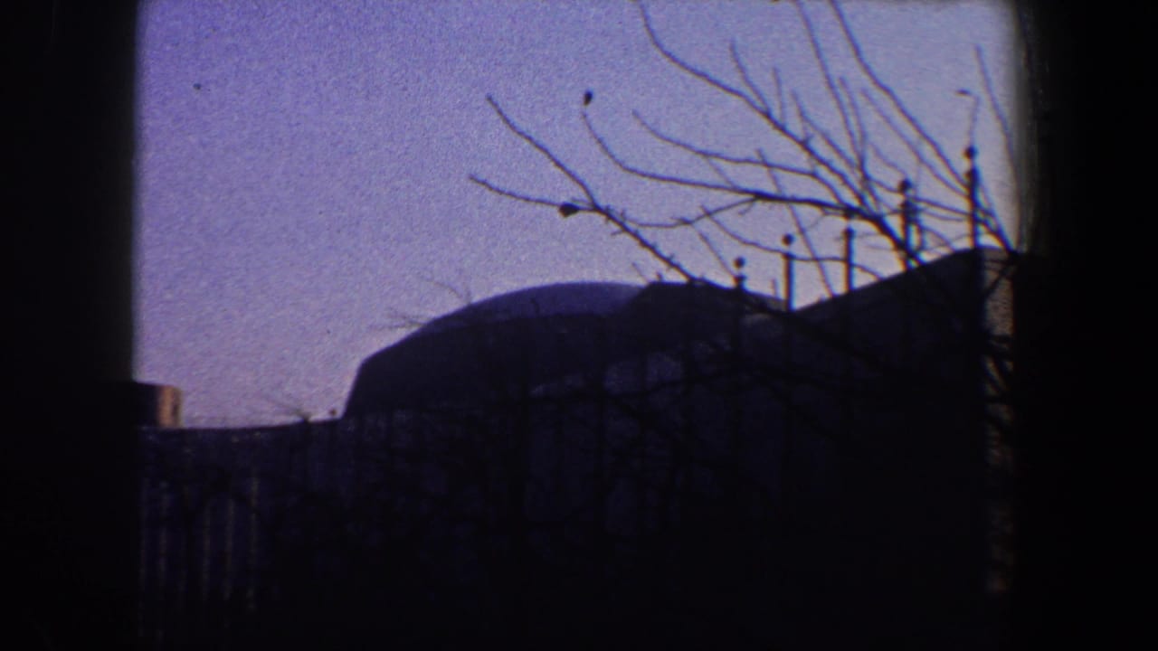 Dark silhouetted rooftop and domed structure beneath bare branches against a purple sky.