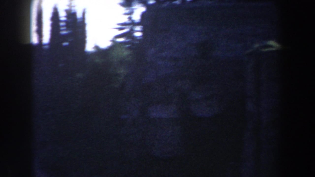1959 8mm Rome travel footage shows dark trees and indistinct ancient stonework at the edge of the frame.