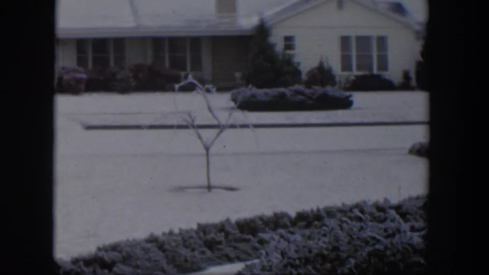 1954 Nevada frame showing a snow-covered residential frontage, a young bare tree, shrubs, and a low house viewed through dark interior framing.
