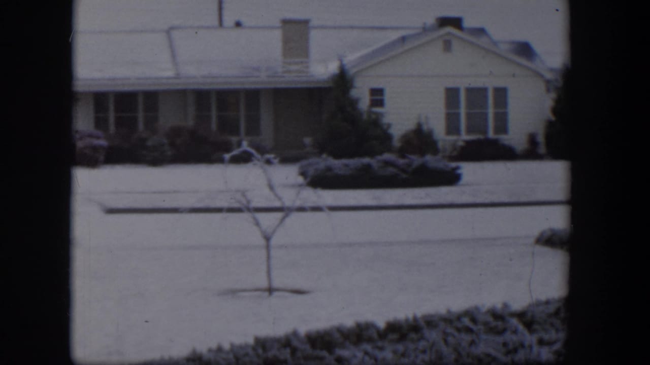 Snowy front lawn with bare sapling, shrubs, and a single-story house in the background.