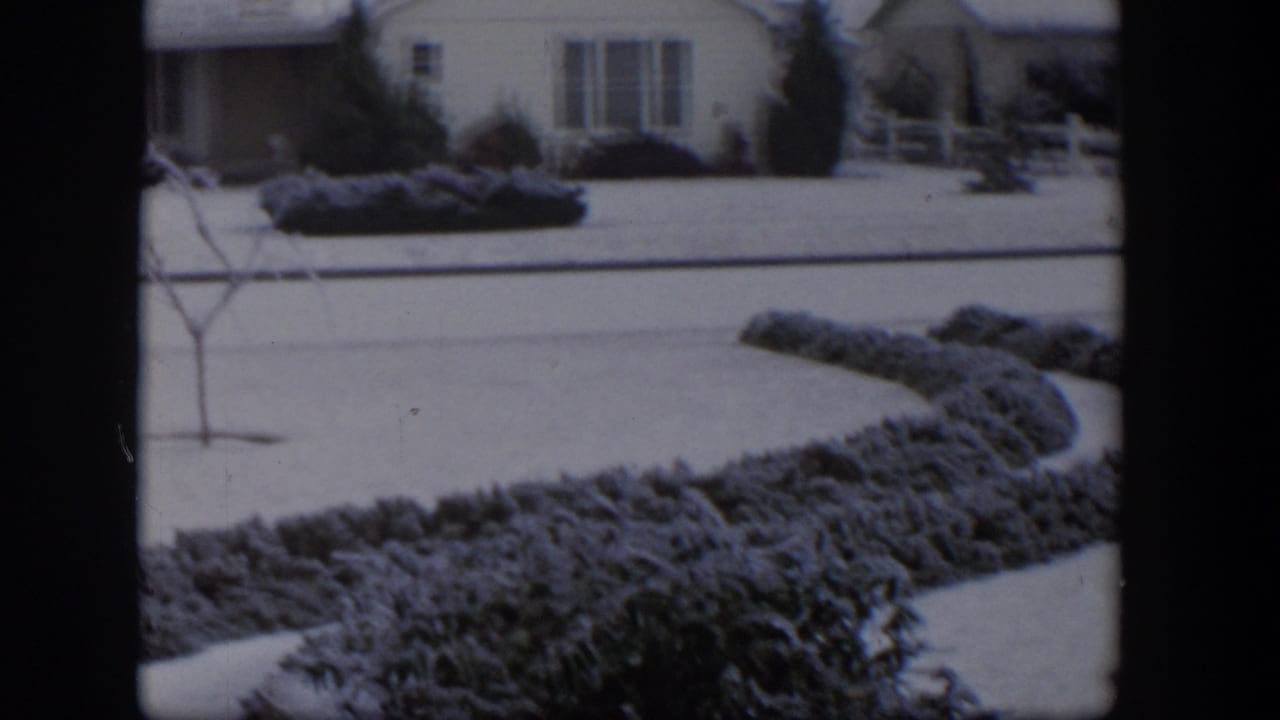 Curved snow-covered shrub bed with lawn, small tree, and houses behind it.