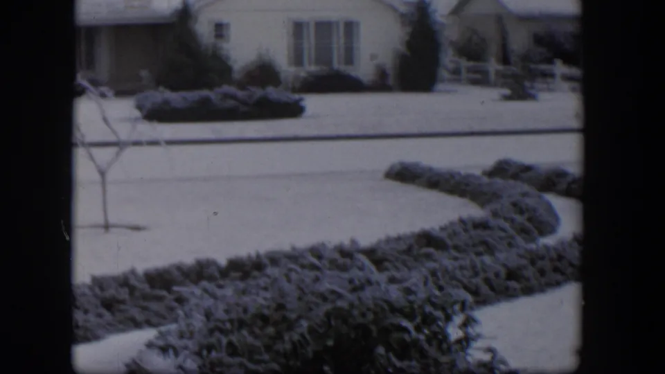 1954 Nevada frame with curved snow-dusted shrubs across a suburban lawn, a bare sapling, and neighboring house exteriors in the background.