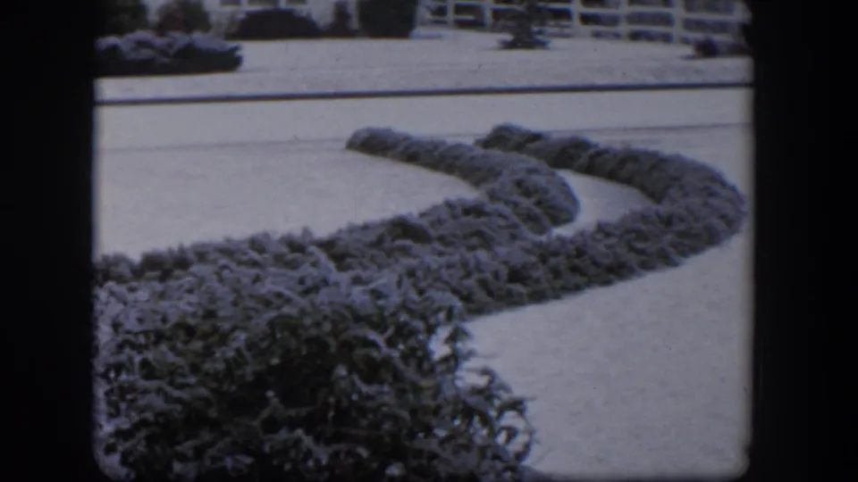 1954 Nevada home-movie frame looking over snow-dusted curved shrubs toward a snowy lawn, fence, and residential exteriors.