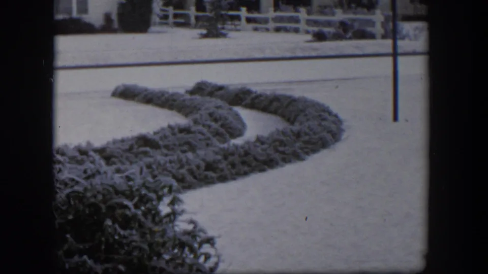 1954 Nevada frame showing curved snow-dusted shrub beds across a suburban lawn, with a fence, house exterior, and dark vertical post at right.