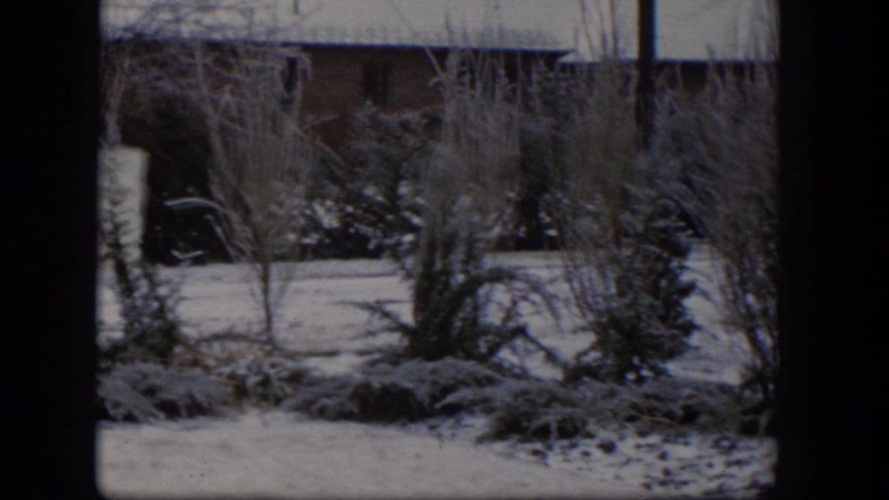 1954 Nevada home-movie frame showing a snowy residential yard, frosted shrubs, evergreens, and a brick house in the background.