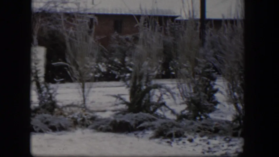 1954 Nevada home-movie frame showing a snowy residential yard, frosted shrubs, evergreens, and a brick house in the background.