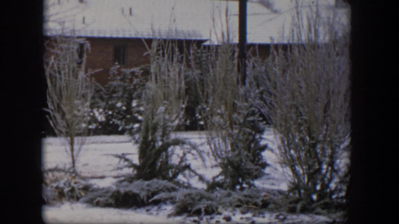 Snow-covered shrubs and a brick house seen through dark vertical frame edges.