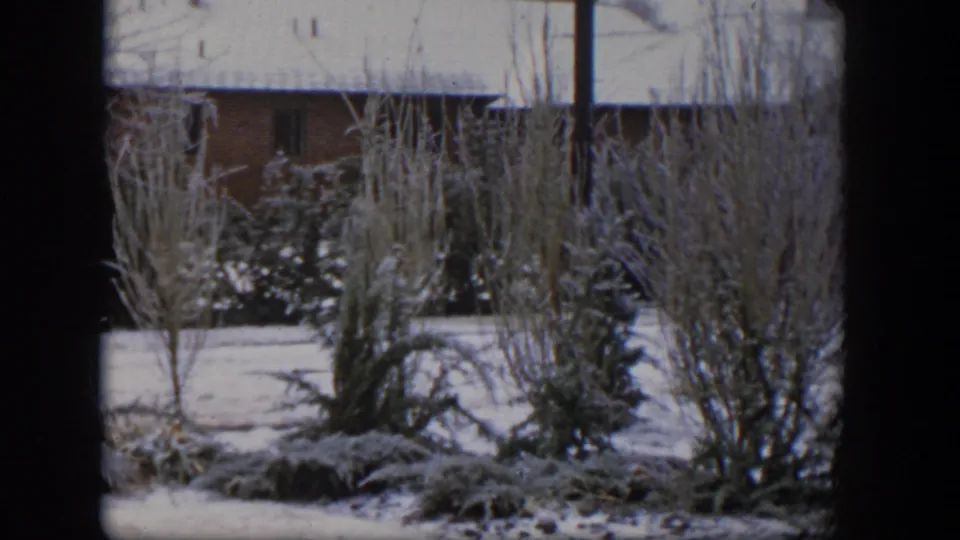 1954 Nevada winter yard view with frosted bushes, a brick house, a pale snowy roof, and dark window-like borders.