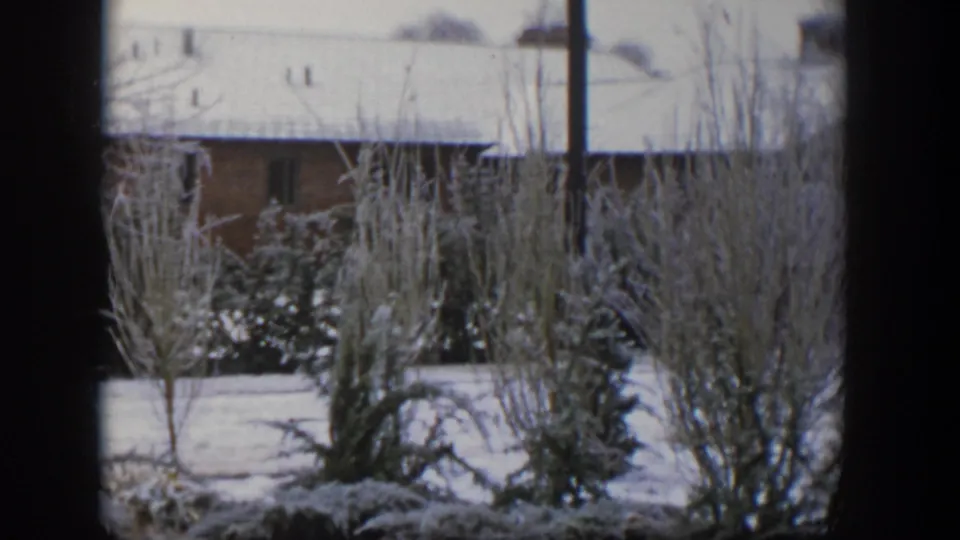 1954 Nevada 8mm frame of snow on shrubs and evergreens, with a residential brick house and roofline in the background.