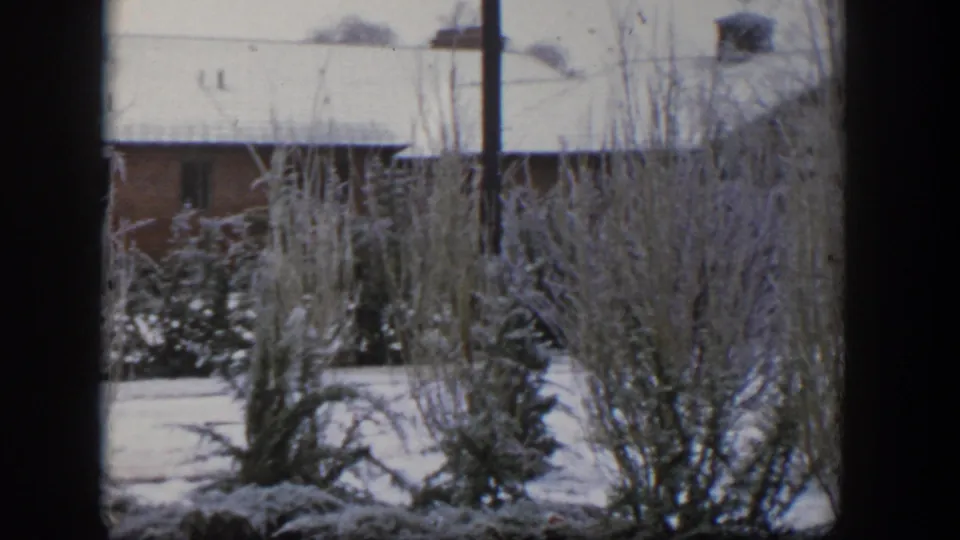 1954 Nevada home-movie view of frosted bushes and bare branches in a snowy yard, with a brick house behind them.