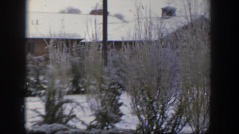 1954 Nevada 8mm view of snow-covered shrubs and small evergreens with a residential roofline in the background.