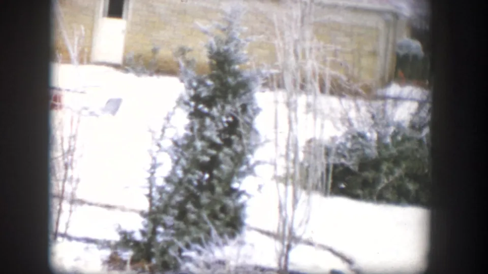 1954 Nevada 8mm frame showing a small evergreen, bare saplings, bright snow, and part of a yellow house beyond the yard.